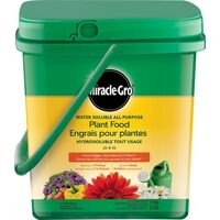 Miracle-Gro Water Soluble All-Purpose Plant Food 24-8-16