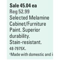 Melamine Cabinet/Furniture Paint