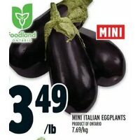 Mini Italian Eggplants