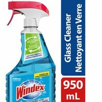 Windex or Fantastik  All-Purpose Cleaner 