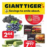 Giant Tiger - Weekly Savings (NB/NS/PE) Flyer