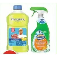 Fantastik, Mr. Clean Liquid  or Scrubbing Bubbles Household Cleaner