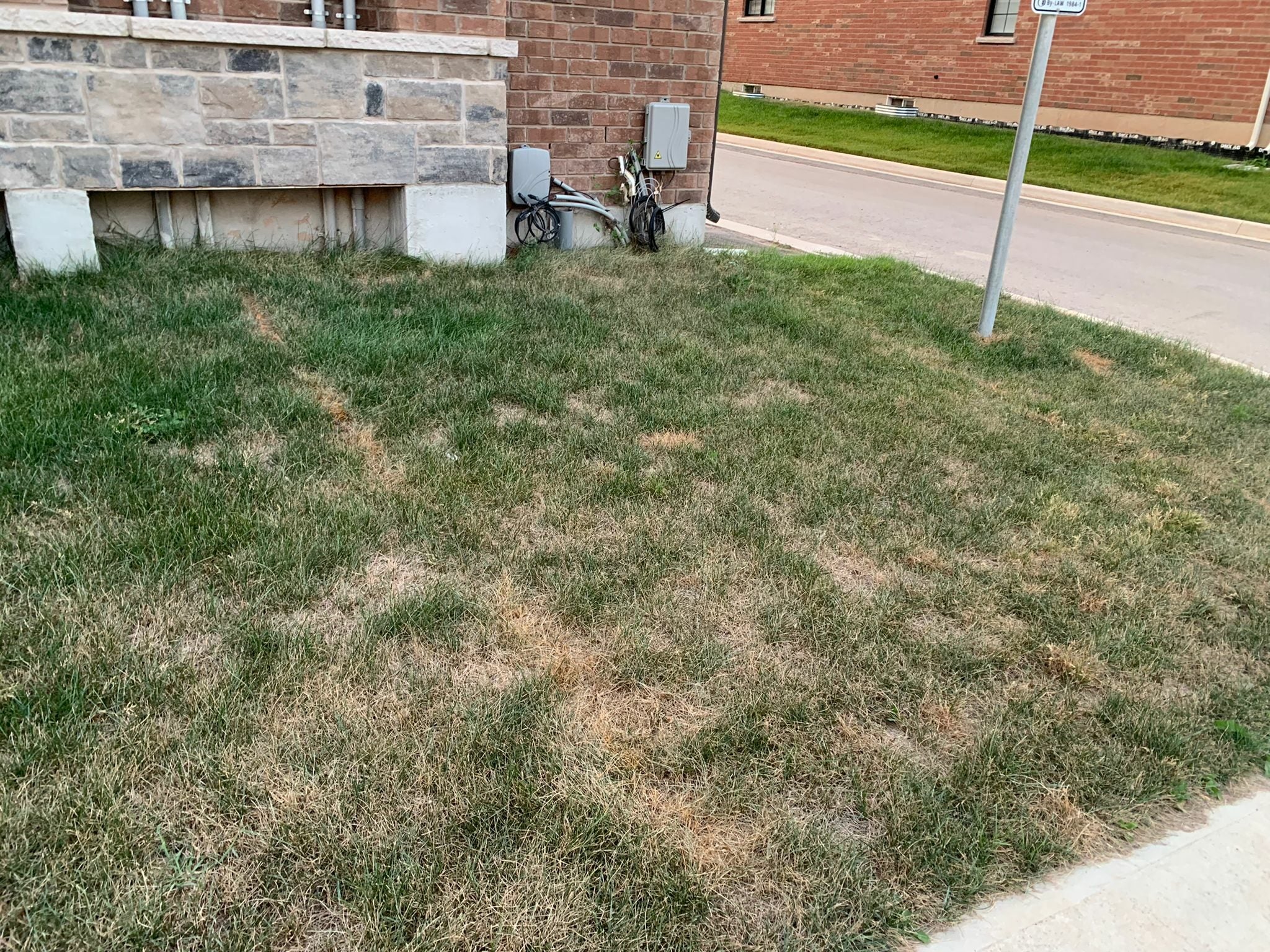 Grass turning yellow new sod was put in 2 months ago