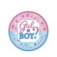 Girl Or Boy Gender Reveal Dessert Plates