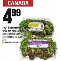 PC Live Lettuce Green, Trio Or Red & Green