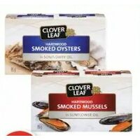 Clover Leaf Smoked Oysters or Mussels