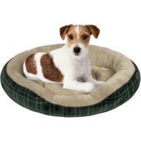 Petco Cuffed Ovel Cuddler Dog Bed 