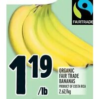 Organic Fair Trade Bananas