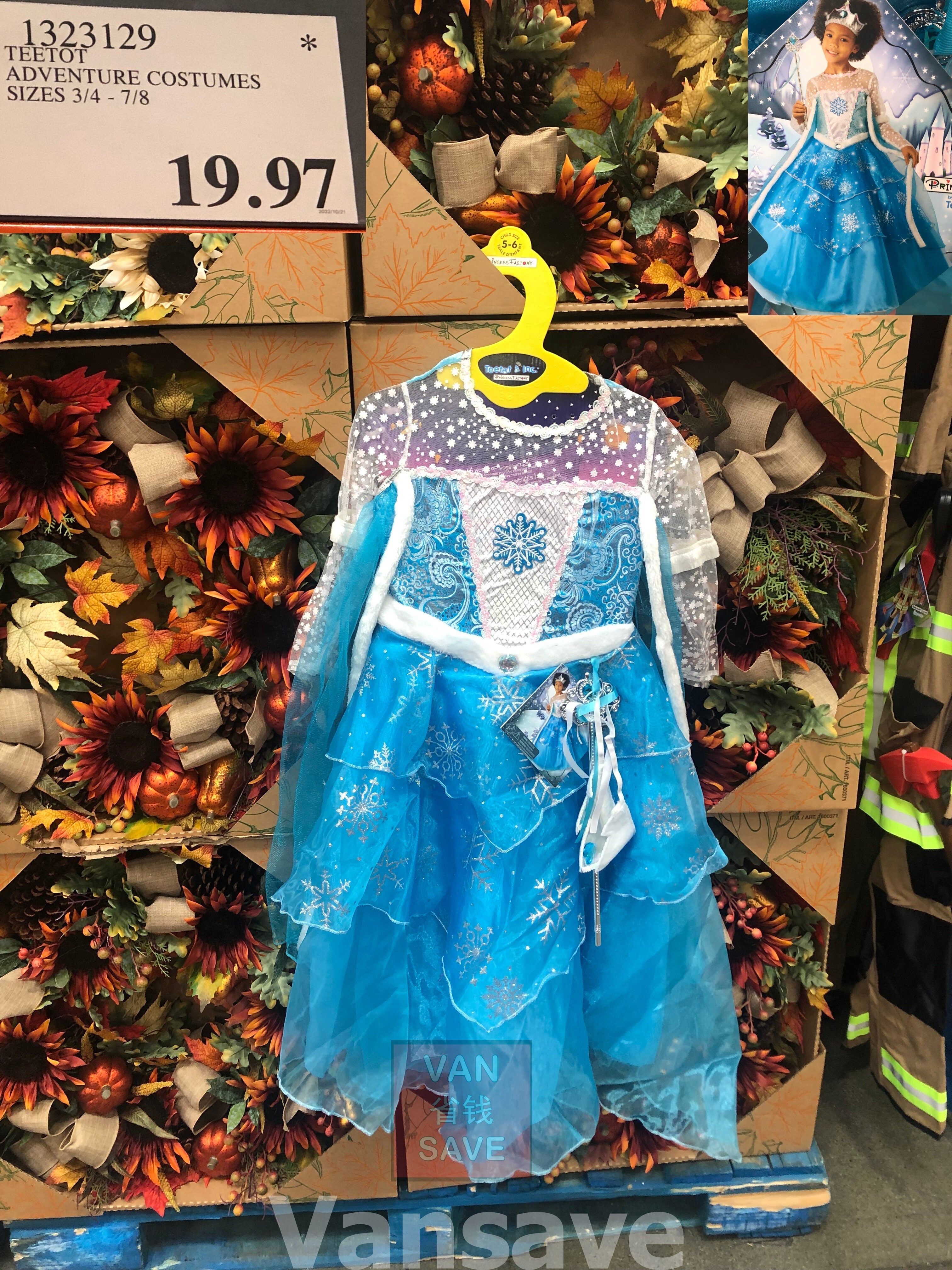 Costco 2025 elsa dress