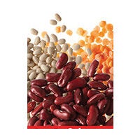 Dried Beans or Peas 