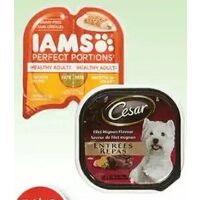 Iams Perfect Portions Wet Cat Food or Cesar Singles Wet Dog Food