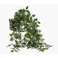 Oliver Artificial Hanging Olive Leaf Plant