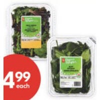 PC Organics Salad Greens 