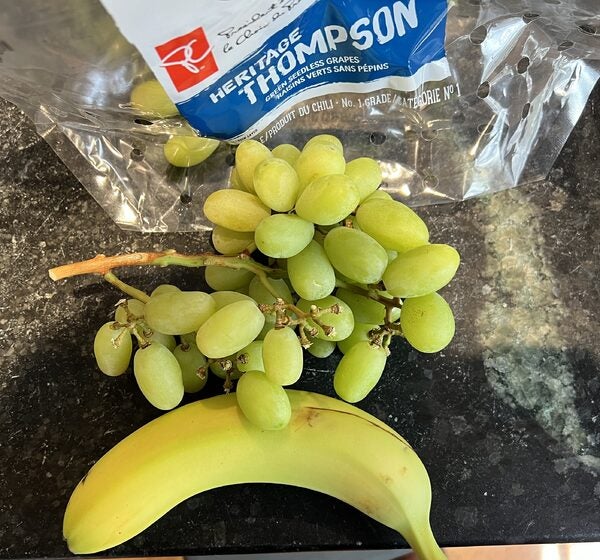 $5 worth of grapes. This is obscene…