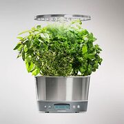 AeroGarden Harvest Elite 360 (70% off) 60$ (CyberMonday)