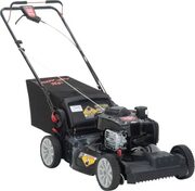 Self-Propelled Lawn Mower ($240.03 - only 4 left)