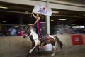 Toronto - Horsecapades @ CNE . Free until Aug 14