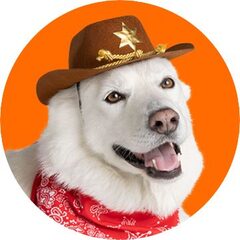 Petsmart 75% off ALL Halloween - Free same day delivery HOT