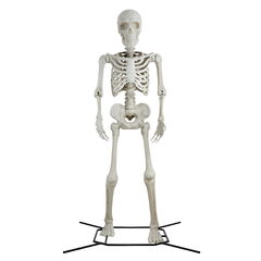 10ft Posable Skeleton, Bone Colour — Halloween Decoration by Way to Celebrate $75.00 (Originally $299.99)