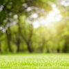 Prime Big Deal Days - Best Lawn, Garden & DIY Deals