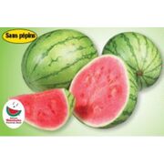 Seedles Mini Water Melon - $3.99