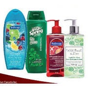 Irish Spring Body Wash or Softsoap Premium Liquid Hand Soap or Body Wash - $2.99 (at least $1.30 off)