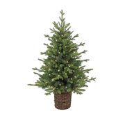 4' Norway Spruce Pre-Lit Potted Artificial Christmas Tree - $99.00