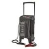 Motomaster Workshop Series Battery Charger With 250A Engine Start - $255.99 (20% off)