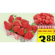 Strawberries Raspberries  - $3.88