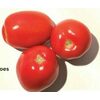 Fresh Roma Tomatoes - $1.79/lb
