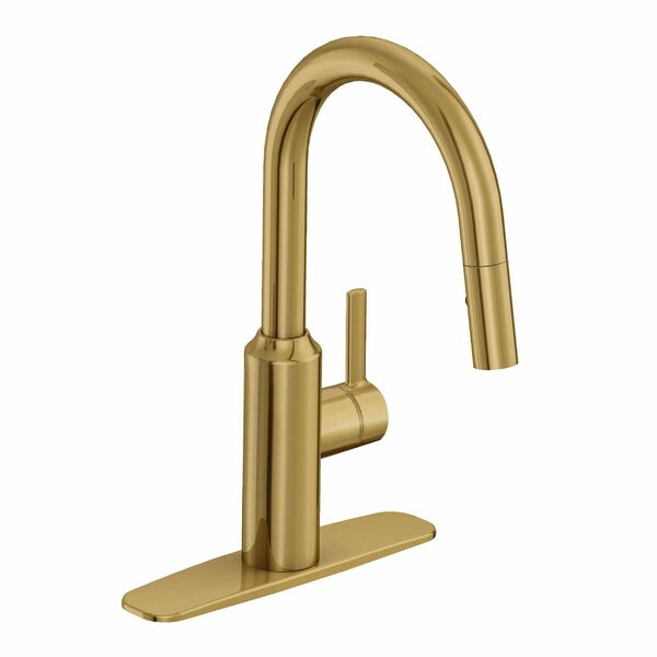 Danze Colby 1 Handle Kitchen Faucets