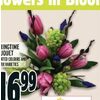 Springtime Bouquet - $16.99