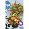 Blooming Basket - $12.00